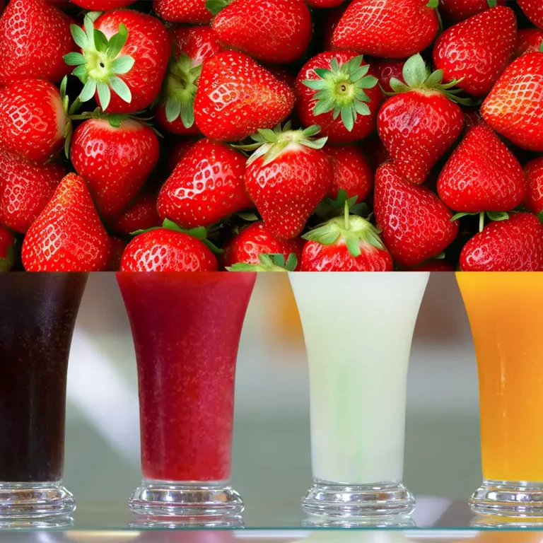 Fabricantes y distribuidores granizados naturales - Artesanos