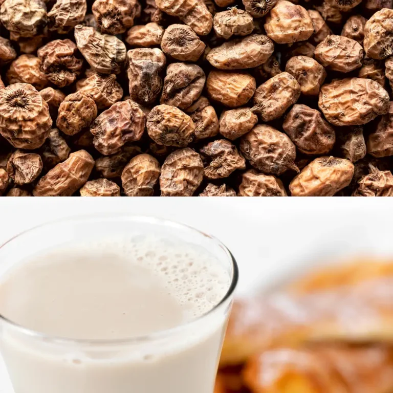 Fábrica de horchata artesanal con chufa Valenciana - Helados Artesanos Gersan SL